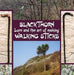 Blackthorn Lore and the Art of Making Walking Sticks by John Murchie Douglas