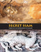 Secret Siam: Hidden Art & Iconography of Thailand by Mark Hejnar