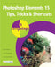 Photoshop Elements 15 Tips Tricks & Shortcuts in Easy Steps by Nick Vandome