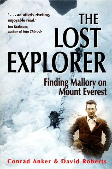 The Lost Explorer by David Roberts