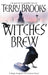 Witches' Brew by Terry Brooks