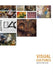Visual Cultures by James Elkins