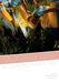 Girls! Girls! Girls! in Contemporary Art by Catherine Grant, Lori Waxman
