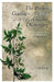 The Pocket Gaelic-English English-Gaelic Dictionary by Angus Watson