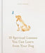 10 Spiritual Lessons You Can Learn from Your Dog: Essential Life Lessons We Can Learn from Our Furry Friend by Joanna Sandsmark