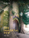 Immortal Yew, The by Tony Hall