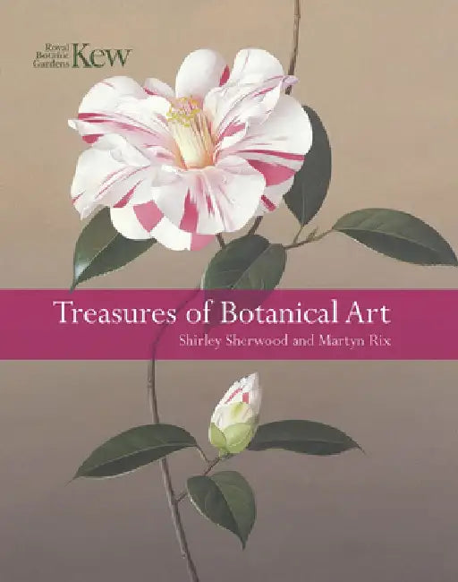 Treasures of Botanical Art by Shirley Sherwood