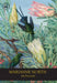 Marianne North 100 Postcards by Royal Botanic Gardens Kew