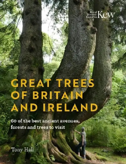 Great Trees of Britain and Ireland by Tony Hall
