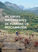 The Important Plant Areas of Mozambique (Portuguese Edition) by Iain Darbyshire