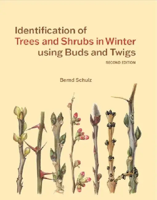 Identification of Trees & Shrubs in Winter Using Buds and Twigs, Second Edition by Schulz, Bernd