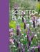 Gardening with Scented Plants by Tony Hall