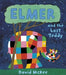 Elmer and the Lost Teddy by David McKee