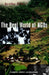 The Real World of Ngos: Discourses, Diversity and Development by Dorothea Hilhorst