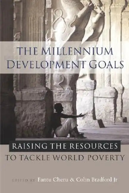 The Millennium Development Goals: Raising the Resources to Tackle World Poverty by Fantu Cheru