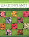 Illustrated Handbook of Garden Plants: A Practical Guide to 3000 Popular Plants: Characteristics, Properties and Identification, Illustrated with More by Andrew Mikolajski