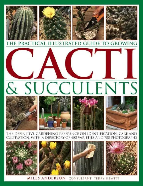 The Practical Illustrated Guide to Growing Cacti & Succulents: The Definitive Gardening Reference on Identification, Care and Cultivation, with a Dire by Miles Anderson