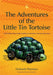 The Adventures of the Little Tin Tortoise: A Self-Esteem Story with Activities for Teachers, Parents and Carers by Deborah Plummer, Jane Serrurier