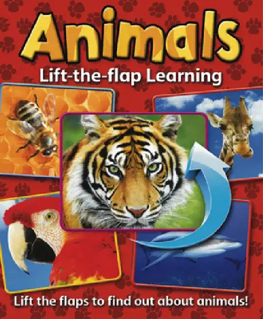 Lift-The-Flap Learning: Animals: Lift the Flaps to Find Out about Animals! by Anness Publishing Ltd