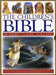 Children's Bible by Victoria Parker