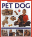 How to Look After Your Pet Dog: A Practical Guide to Caring for Your Pet, in Step-By-Step Photographs by David Alderton