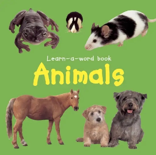 Animals by Nicola Tuxworth