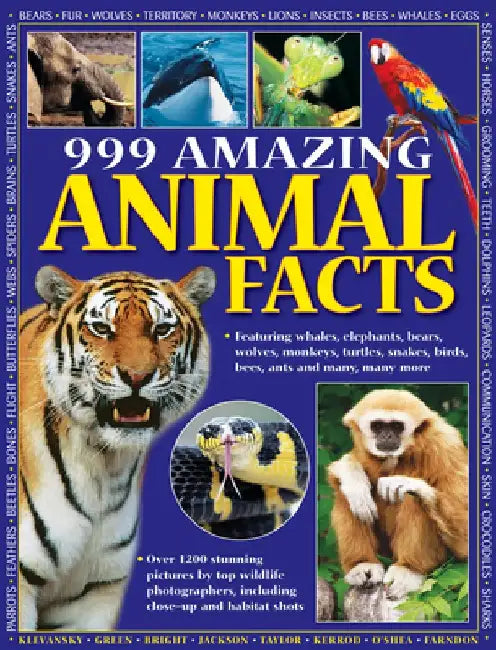 999 Amazing Animal Facts: Featuring Whales, Elephants, Bears, Wolves, Monkeys, Turtles, Snakes, Birds, Bees, Ants and Many, Many More by Armadillo Publishing