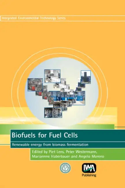 Biofuels for Fuel Cells by Piet Lens, P. Westermann, M. Haberbauer