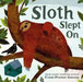 Sloth Slept On by Frann Preston-Gannon