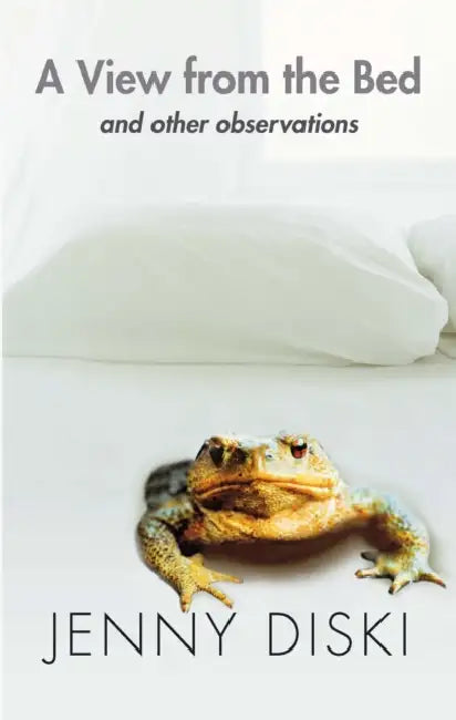 A View From The Bed And Other Observations by Jenny Diski