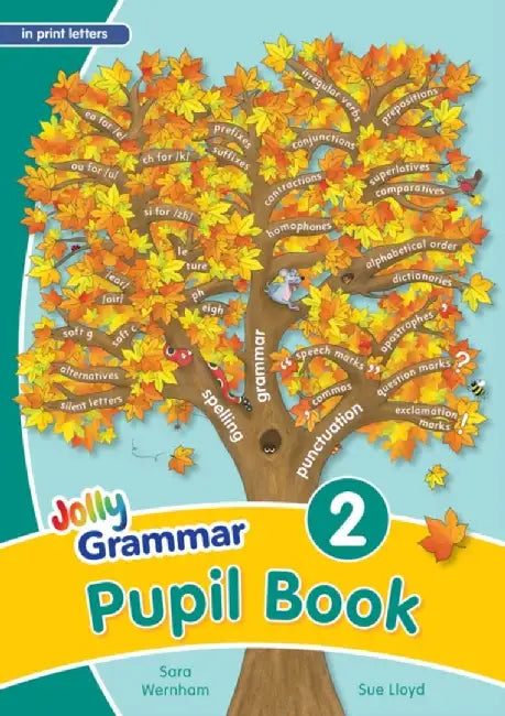 Grammar 2 Pupil Book by Sara Wernham