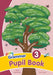 Grammar 3 Pupil Book by Sara Wernham