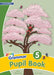 Grammar 5 Pupil Book by Sara Wernham