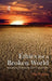 Ethics for a Broken World: Imagining Philosophy After Catastrophe by Tim Mulgan