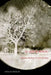 Alain Badiou: Between Theology and Anti-Theology by Hollis Phelps