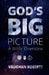 God's Big Picture by Vaughan (Author) Roberts