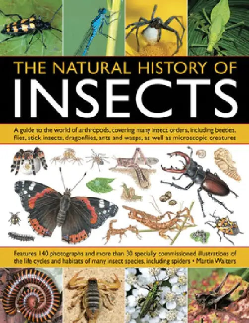 The Natural History of Insects: A Guide to the World of Arthropods, Covering Many Insect Orders, Including Beetles, Flies, Stick Insects, Dragonflies, by Martin Walters
