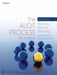 The Audit Process: Principles, Practice and Cases by Iain Gray, Stuart Manson
