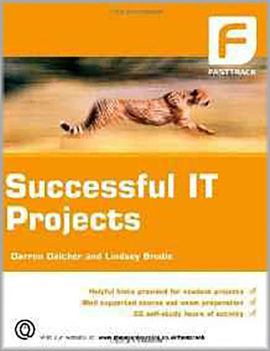 Successful It Projects