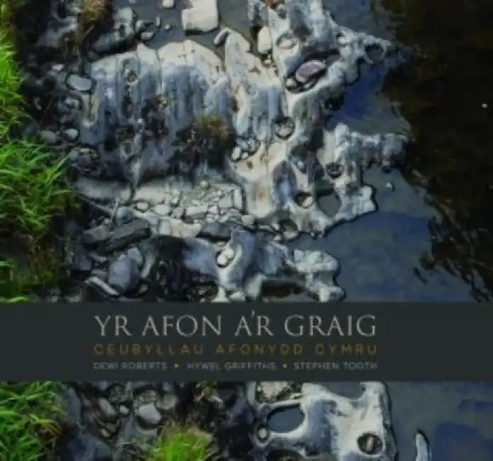 Afon a'r Graig, Yr - Ceubyllau Afonydd Cymru by Dewi Roberts