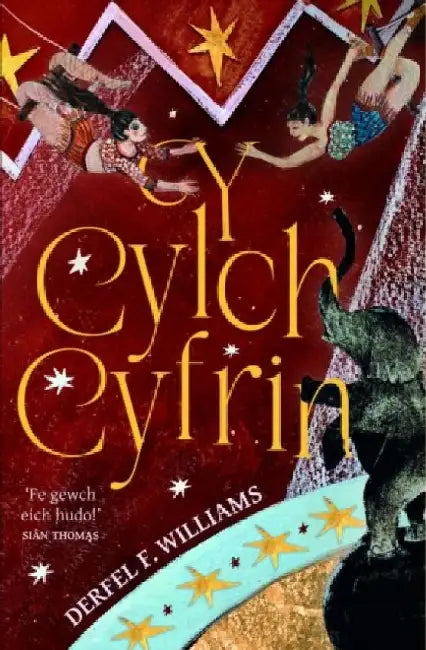 Y Cylch Cyfrin by Derfel F. Williams