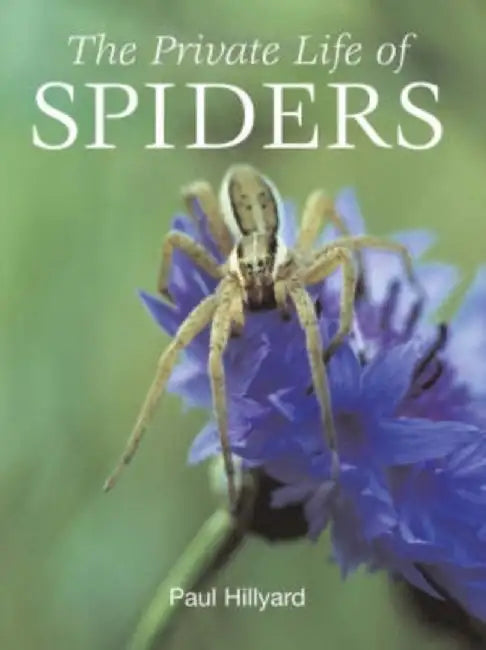 Private Life Of Spiders by Paul Hillyard