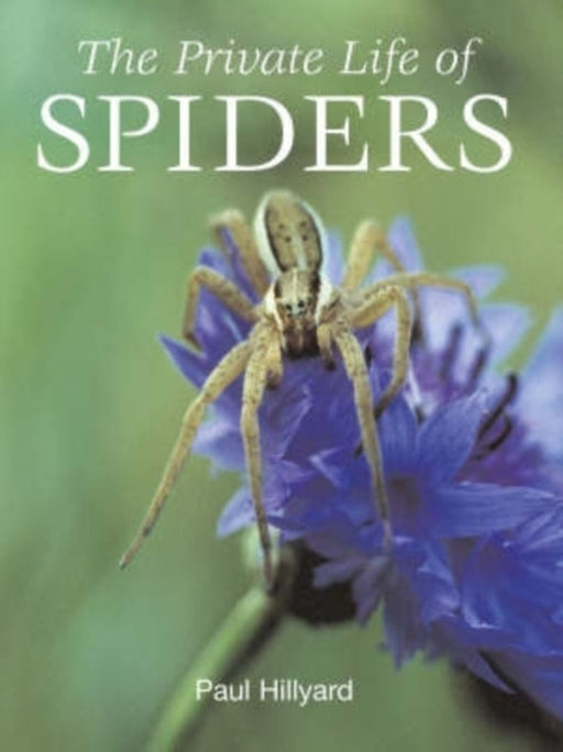 Private Life Of Spiders by Paul Hillyard