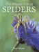Private Life Of Spiders by Paul Hillyard