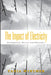 The Impact of Electricity: Development, Desires and Dilemmas by Tanja Winther