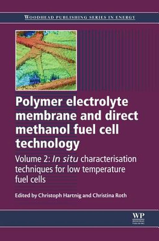 Polymer Electrolyte Membrane And Direct Methanol Fuel Cell Technology: In Situ Characterization Techniques for Low Temperature Fuel Cells by Dr. Christoph Hartnig, Dr. Christina Roth