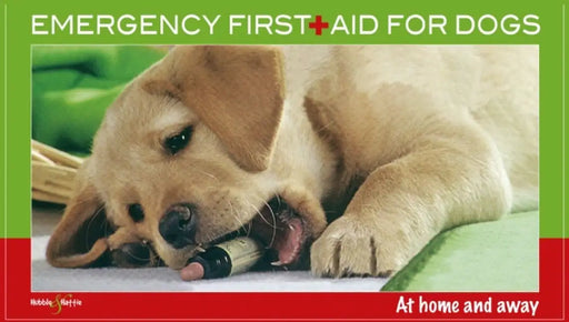 Emergency First Aid for Dogs: At Home and Away by Martin Bucksch
