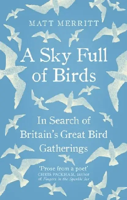 A Sky Full of Birds by Matt Merritt