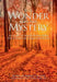 The Wonder and the Mystery: 10 Years of Reflections from the Annals of Family Medicine by Robin Gotler