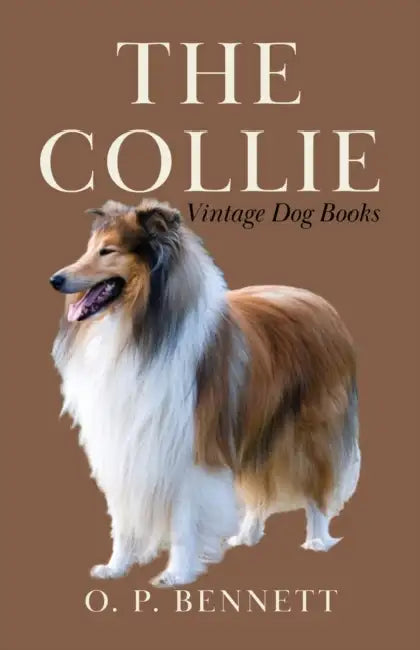 The Collie by O. P. Bennett